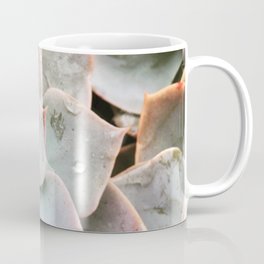 so succulent Coffee Mug