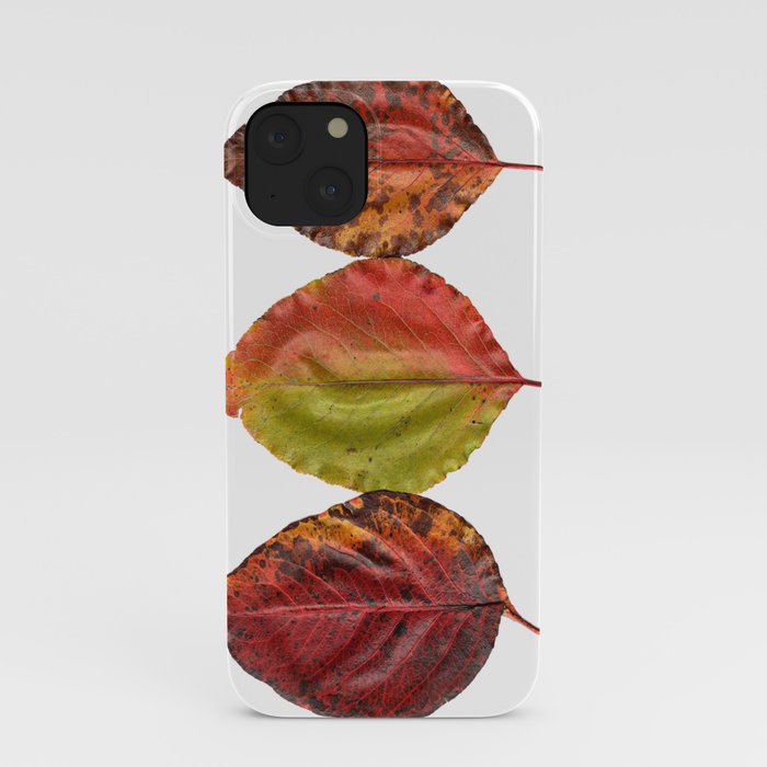 Fal Leaves Mother Nature iPhone Case