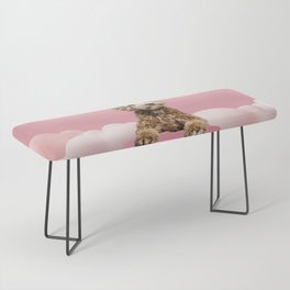 Goldendoodle Laying on Pastel Pink Podium with Cloud Bench