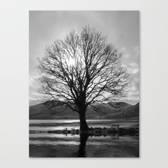 Lone Tree Canvas Print