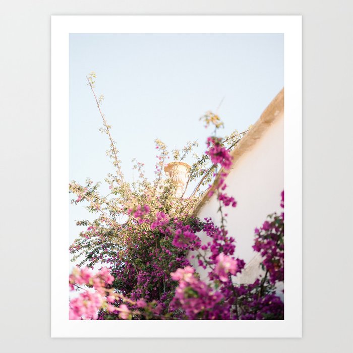 Ostuni vibes | Purple flowers on white | Puglia Italy travel photography Art Print