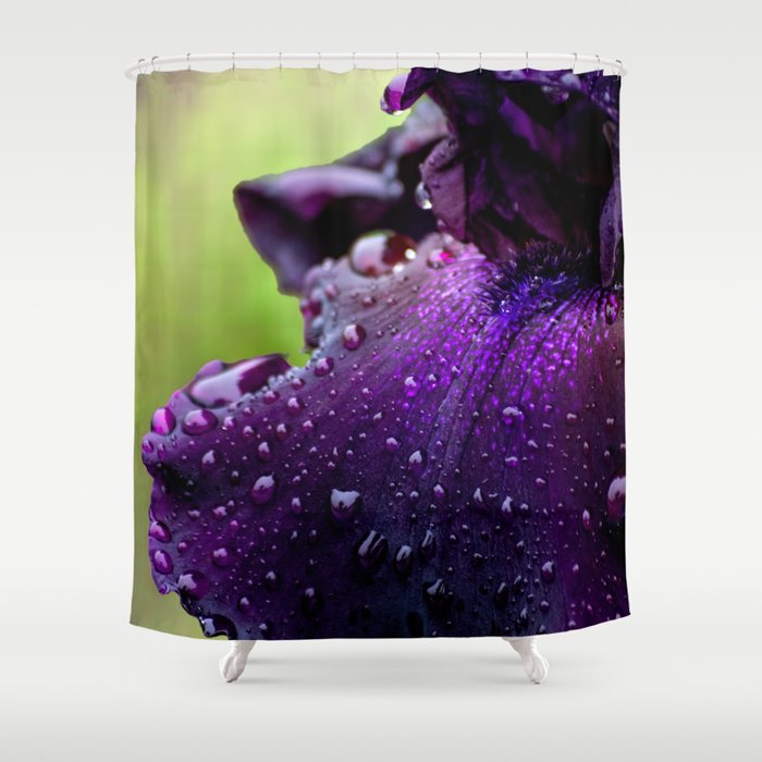Purple Iris Rain Shower Curtain