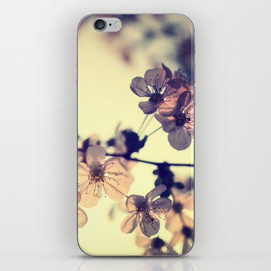 Spring light iPhone & iPod Skin