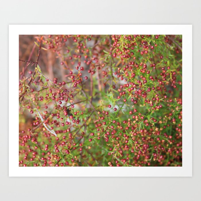 Berries on the trail #2 Art Print