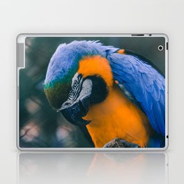 Brazil Photography - Blue And Yellow Macaw Parrot Laptop Skin