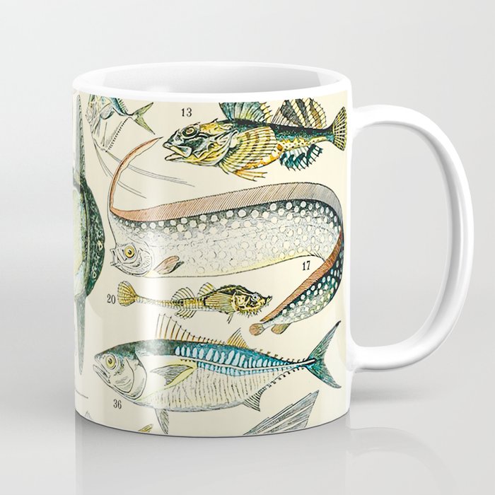 Fishing Art, Sea Life Wall Art, Beach Painting, Sea Decor, Sea Creature  Wall Art - Vintage Fish Coffee Mug by Public Artography