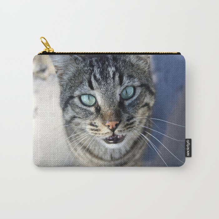 I Follow My Whiskers Tabby Cat Photography Carry-All Pouch