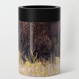 Wildlife Photography Buffalo Yellowstone National Park Wyoming Nature Can Cooler
