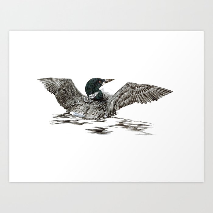 common loon painting