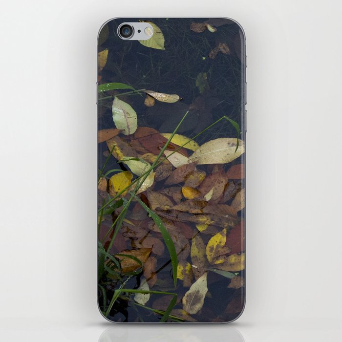 Leaves in the Water iPhone Skin
