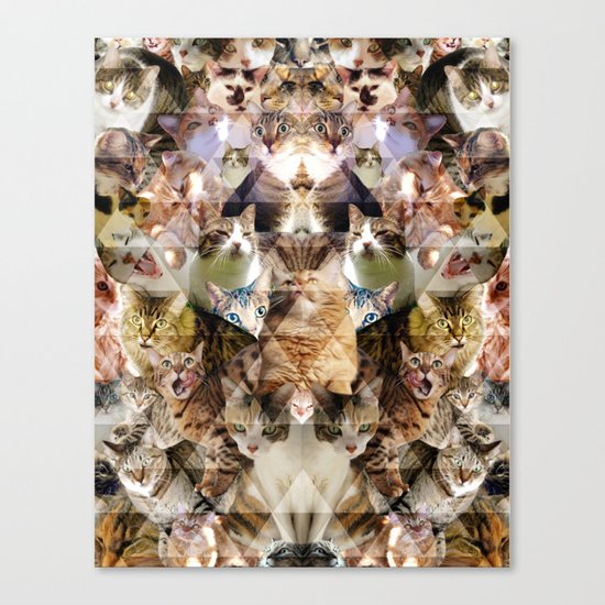 Cat Kaleidoscope Canvas Print