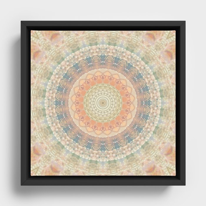 Framed Canvas