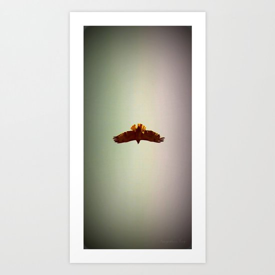 Hawk Eyes Art Print