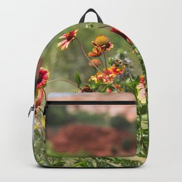 Palo Duro Canyon State Park Backpack