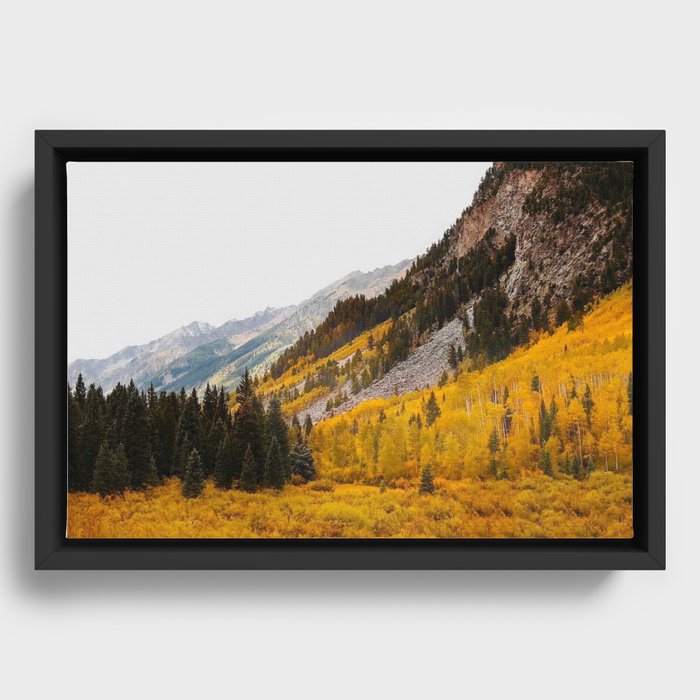 Framed Canvas