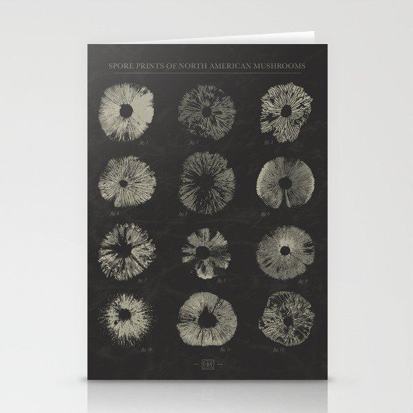 Spore Prints of North American Mushrooms (White on Charcoal) Stationery Cards