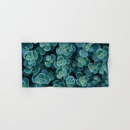 Succulents in Shades of the Sea Hand & Bath Towel