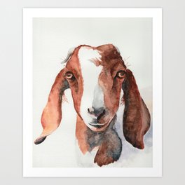 Boer Goat Watercolor Art Print