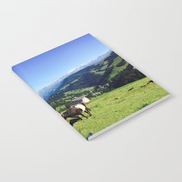 Pilatus Luzern, Swiss Notebook