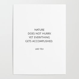 Nature does not hurry, yet everything gets accomplished. Lao Tzu Zen Quotes Poster
