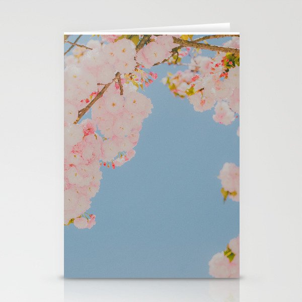 Pink Flowers in Blue Sky Stationery Cards