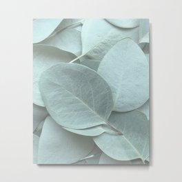 Eucalyptus Leaves Metal Print