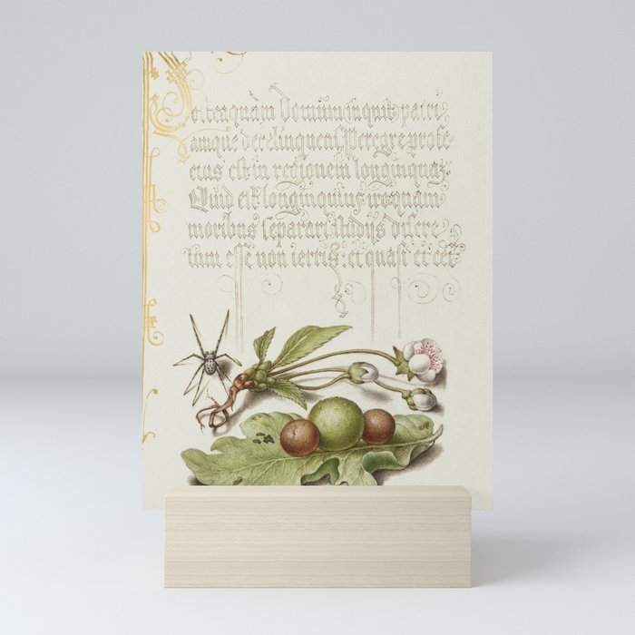 Calligraphic poster with fruit and  flowers Mini Art Print