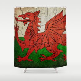 Vintage Wales flag Shower Curtain