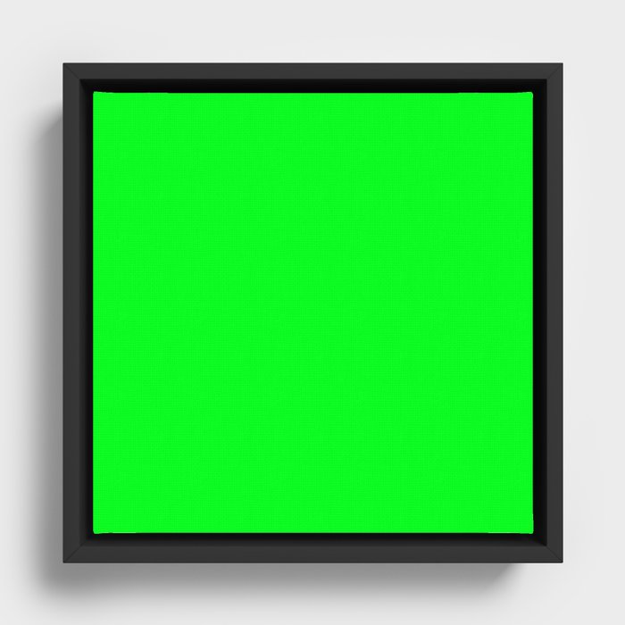 Framed Canvas