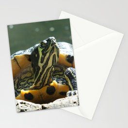 Turtle Sunbathing Stationery Cards
