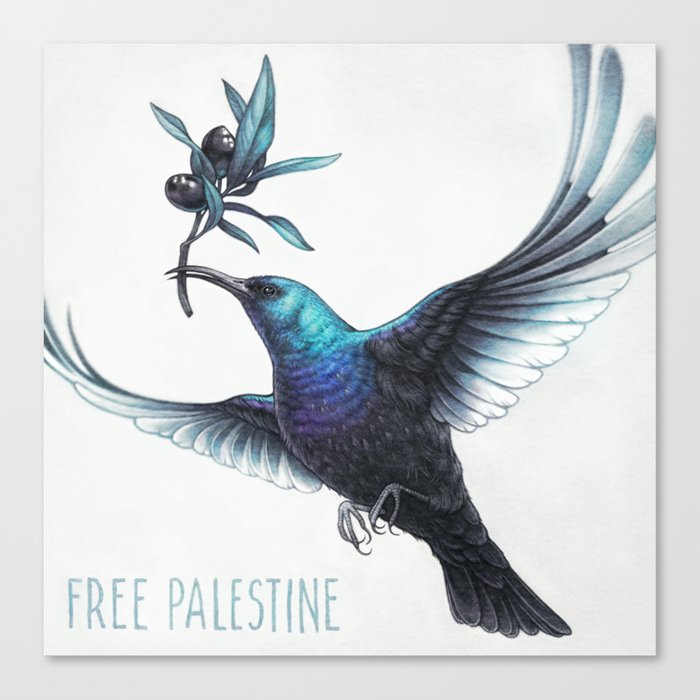 Palestinian Sunbird Canvas Print