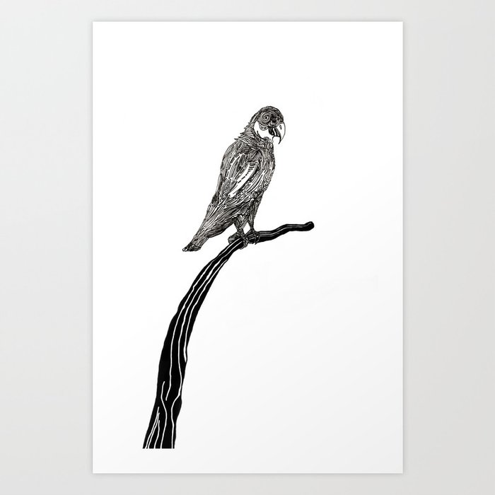 Perch Art Print