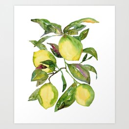 Lemon kitchen Decor, Painting, Kitchen Wall Art, Watercolor Art, Restaurant Decor, Cook Print, Vegetables Printable, Citrus Lime Drawing Art Print