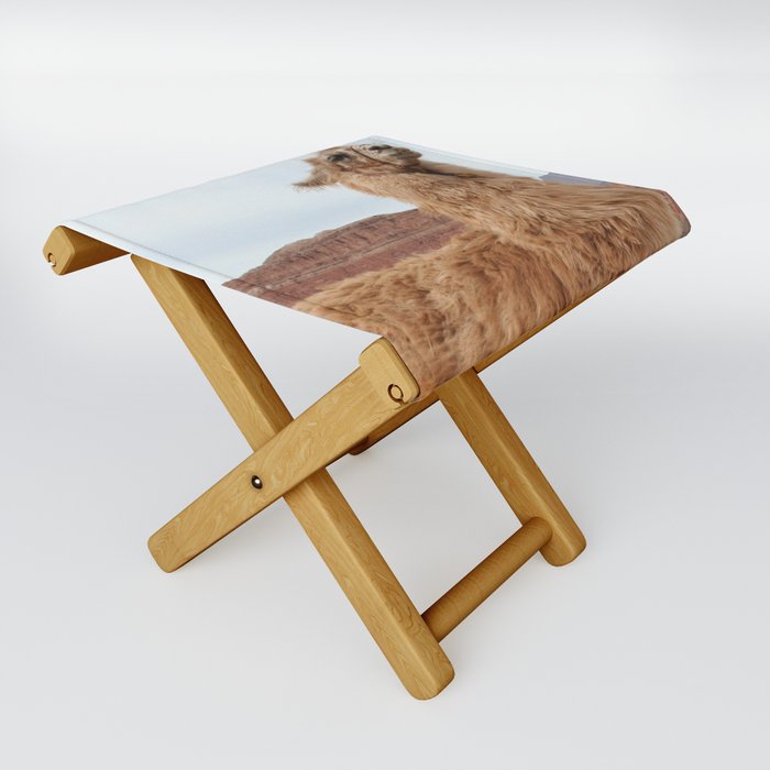 Argentina Photography - Llama In The Mountain Filled Desert Folding Stool