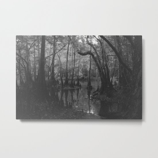 Florida Swamp Metal Print