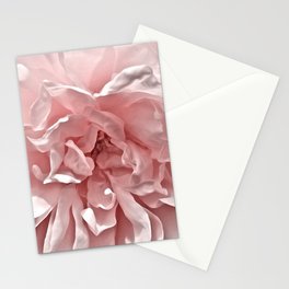 Pink Blush Rose Stationery Cards