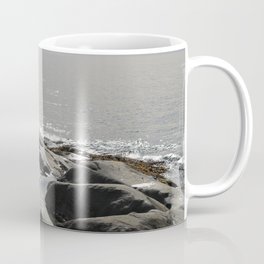 Stones in the water Coffee Mug