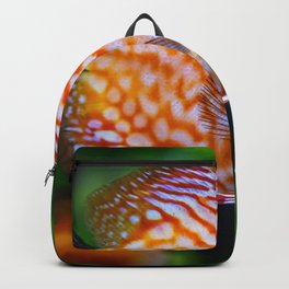 Discusfish Backpack | Underwater, Discus, Photo, Color, Digital, Discusfish 