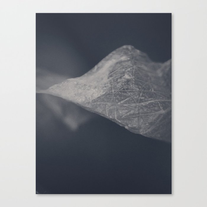 The Mountain Canvas Print