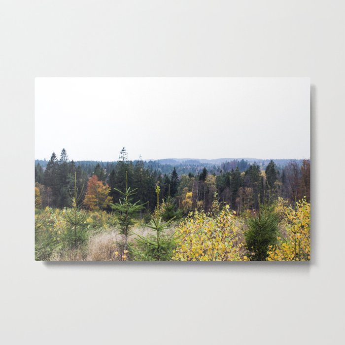 Forest view Metal Print