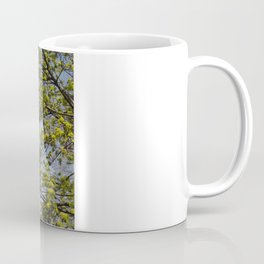 Spring buds Coffee Mug