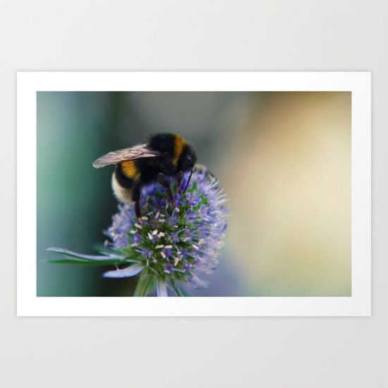 Buzz fine art photography Art Print