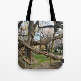 Cismigiu Gardens Tree  Tote Bag