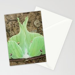Luna Moth Stationery Card