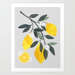 Lemon tree branch Art Print