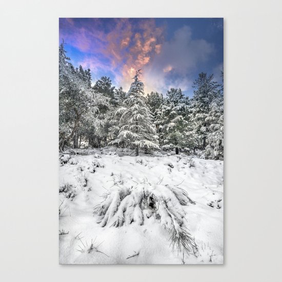 "Mountain Light IV" Snowy Forest At Sunset Canvas Print