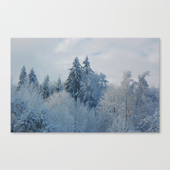 After the snowfall Canvas Print