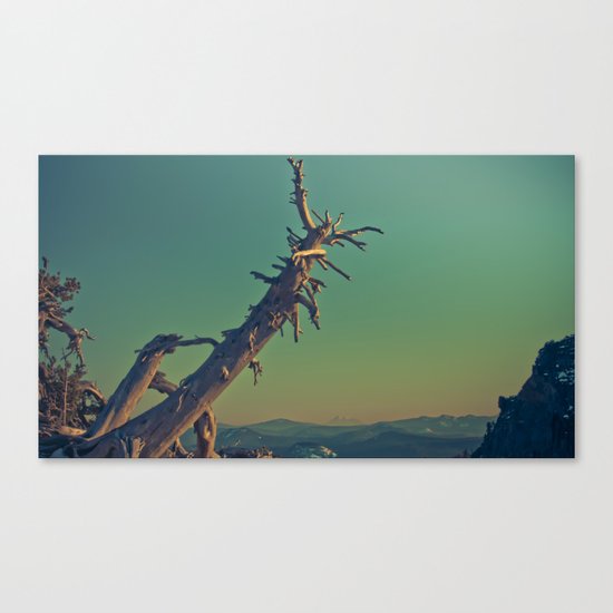 masonry Canvas Print