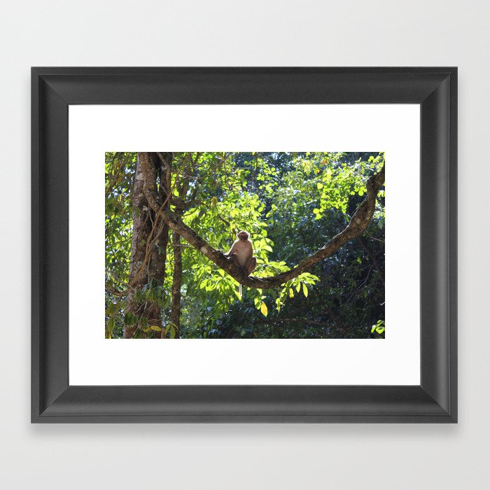 Sitting monkey Framed Art Print