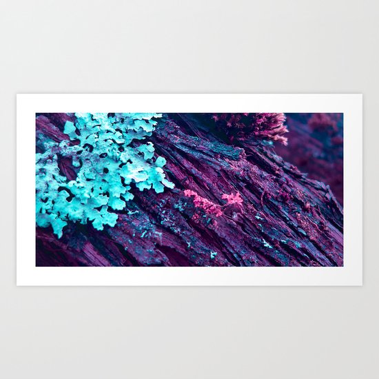 WOODLANDERS Panorama Art Print